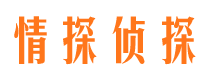 岷县市侦探调查公司